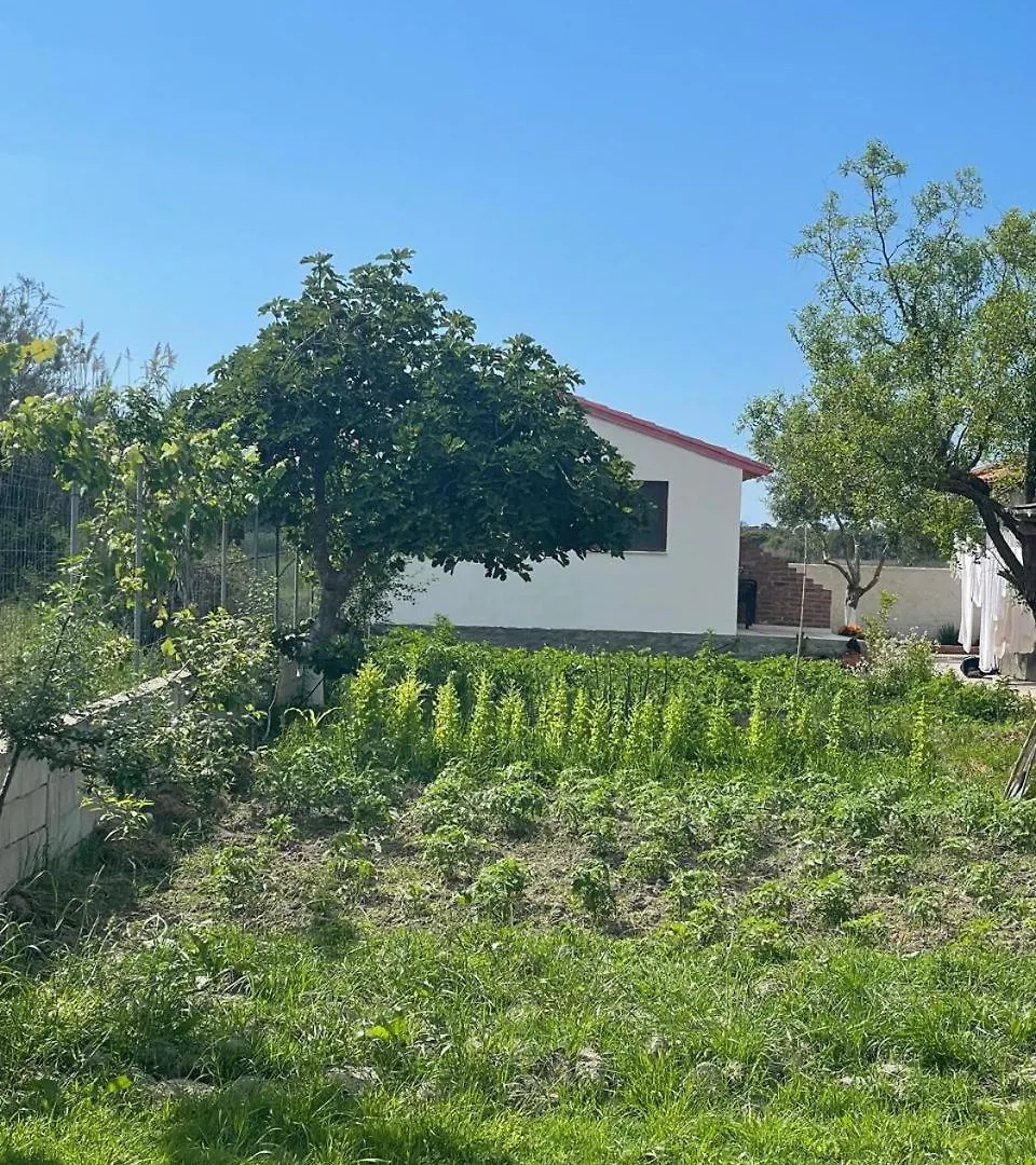 Holiday home Diarla'S Home 3 Darezeze e Re Albania